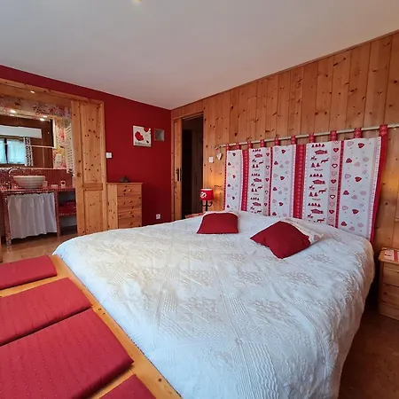 Cosy Avec Salle D'eau Privée Proche Pistes Et - - Fr-1-589-704